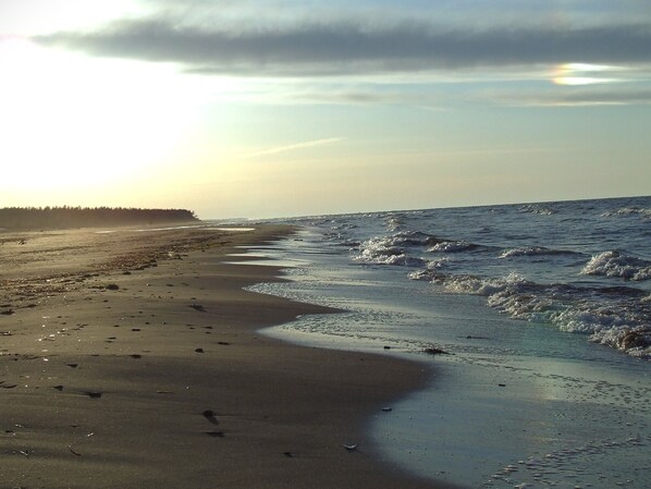 Strand