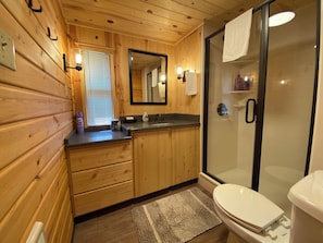Master bathroom with a shower, toilet, and sink vanity.