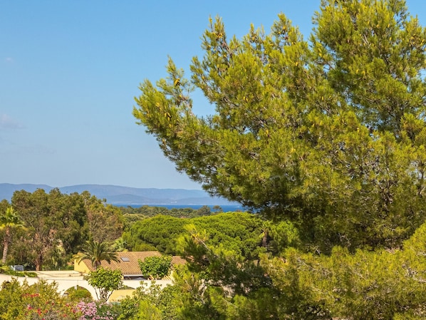 View