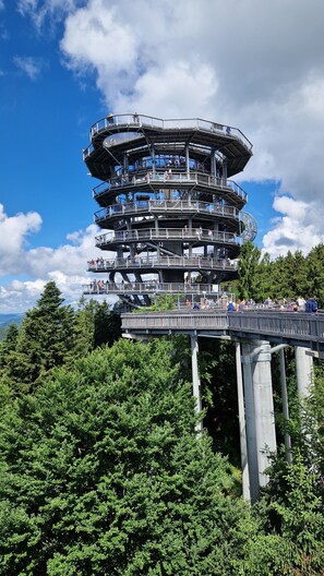 Site d’intérêt