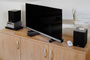 Television