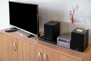 Television