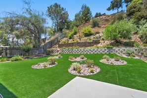Large Turf Backyard