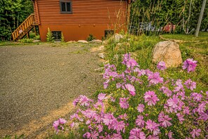 Boendeområde