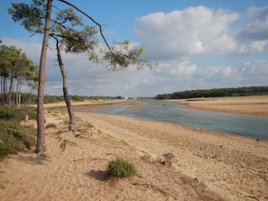 Ranta