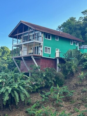 Tree Top Painting to Green