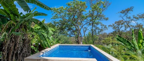 Only Tree Top Guests enjoy this private pool