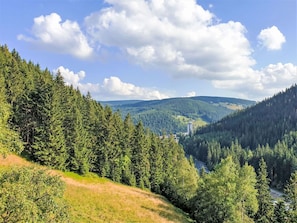 Bergforms, Baum, Berg, Hügel, Wald, Wildnis, Hochland, Natürliche Landschaft, Bergstation