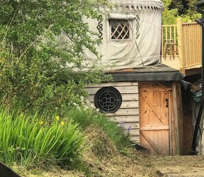 Image 6