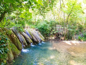 Place