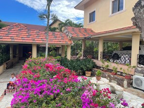Patio Garden
