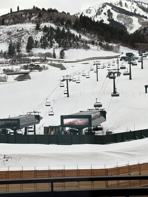 Sne- og skisport