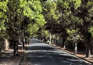 Street