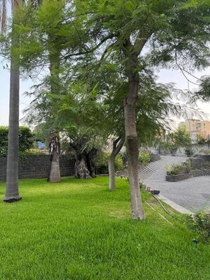 Property grounds