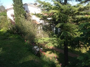 Property grounds