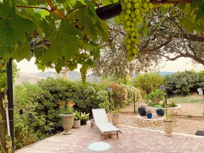 Terraço/pátio