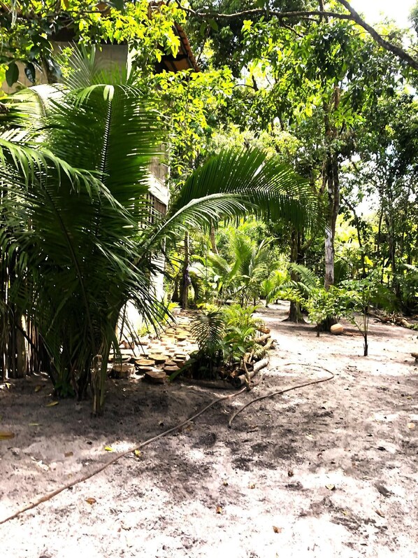 Property grounds