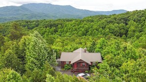 Majestic Mountain Views - Mt LeConte - Privacy and mountain views!