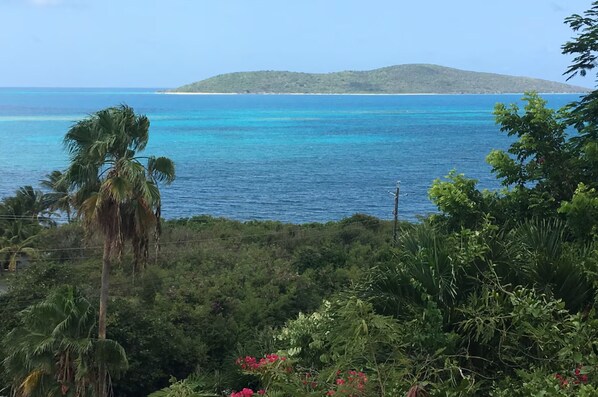 Vue depuis l’hébergement