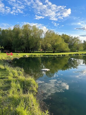 Pond