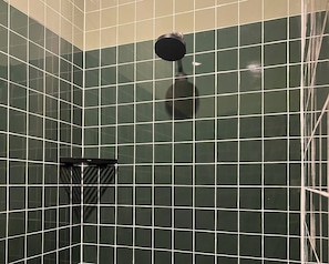 walk in shower in Atlas Suite