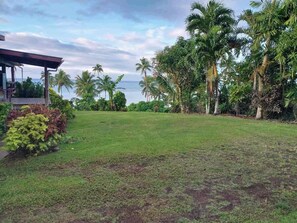 Front Yard