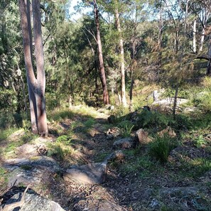 Bush track to the river.