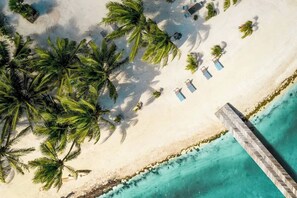 Recline in cozy beach chairs and bask in the sun's gentle caress as you savor the breathtaking ocean views. Unwind and soak up the beauty of the sea in ultimate comfort.