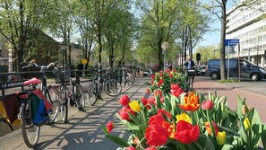 Boendeområde