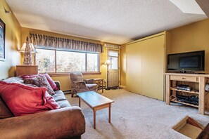 Living room/ queen Murphy bed closed