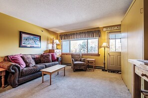 Living room/ queen Murphy bed closed