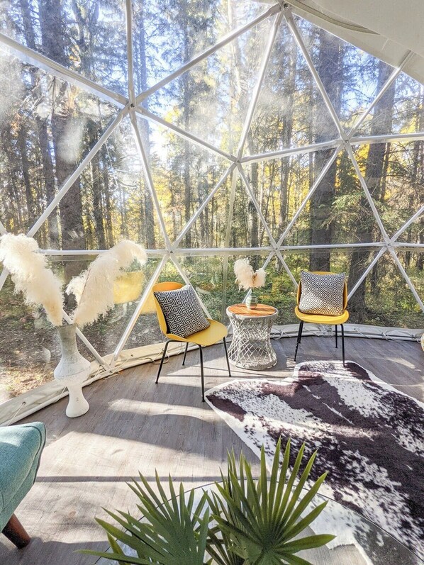 Our largest geodome with forest views