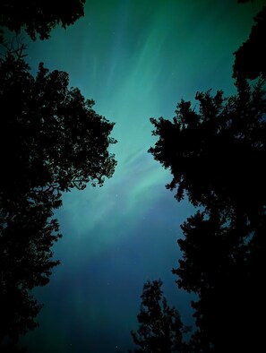 Northern Lights from our driveway 