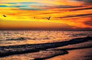 Sunsets are so beautiful they look like a painting.
