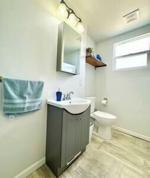 Main floor bathroom (1)