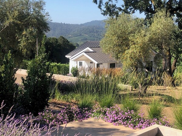View of Cottage 1 and landscaping