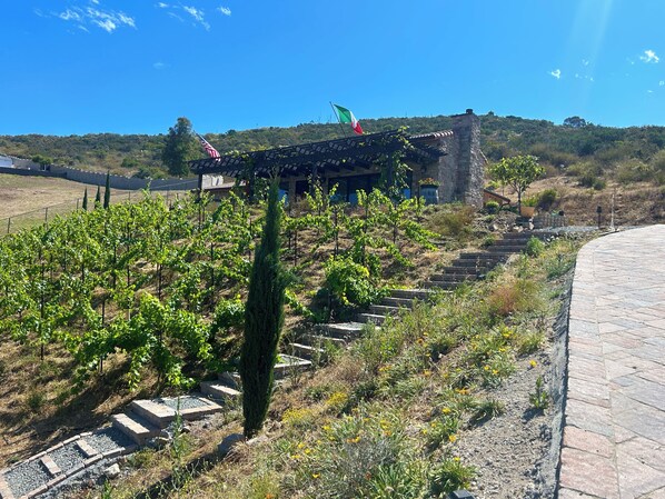 Jardines del alojamiento