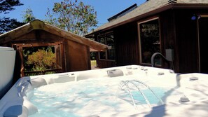 State of the art saltwater tub