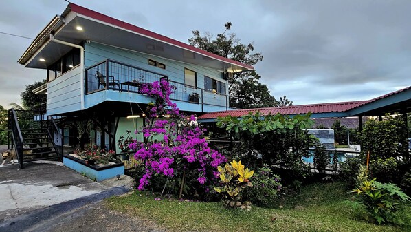 View from driveway