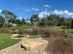 Heartstone at 515 is home to a plethora of wildlife. 🕷️🦌🐓🐍🫏🐈‍⬛🐀🐞🦋