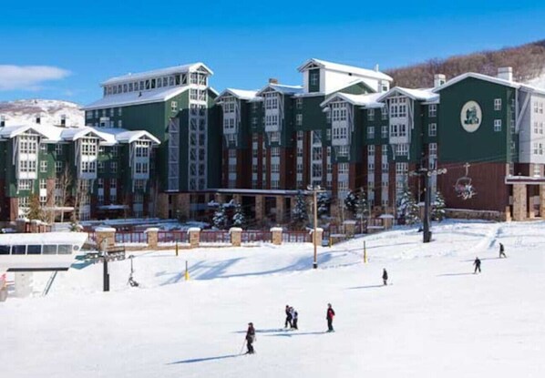 Snow and ski sports