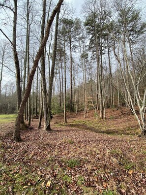Two creeks on property