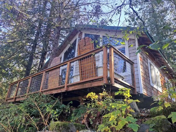 Rear of the Cabin