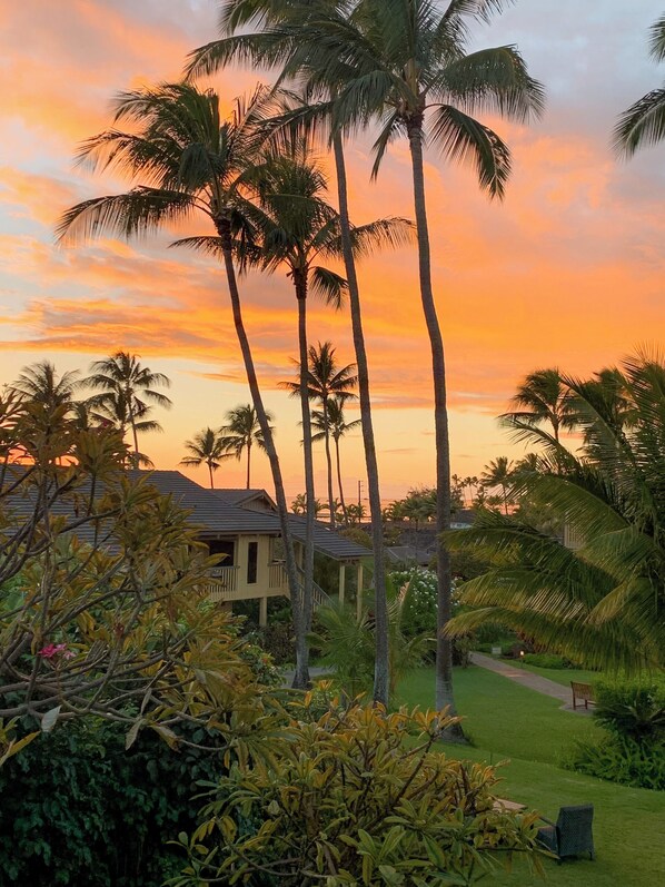 Close to the Ocean