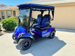 2-Seater Golf Cart