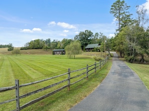 Willow Creek Cabin - Driveway