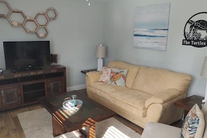 living 42" tv