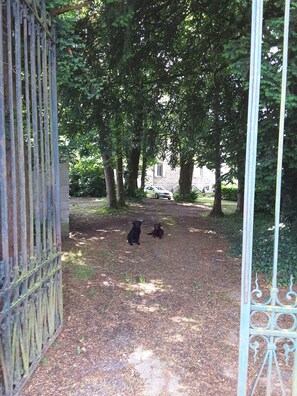 Property grounds