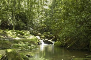 Waterfalls and Swimming Holes Across the Bridge at Buckeye Creek