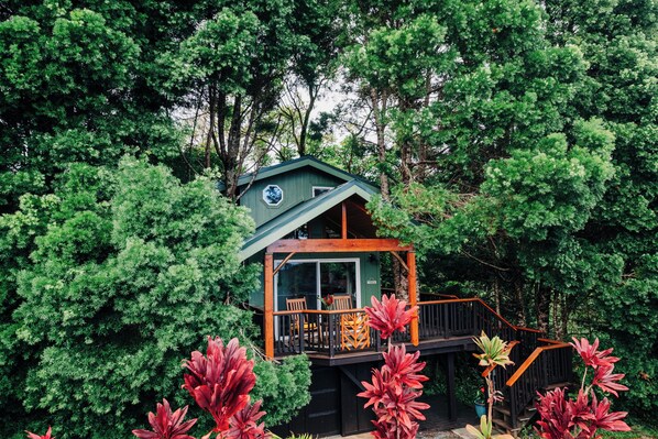 Nestled in the podicarpus and ti leaves, you'll find the Treehouse awaits. 